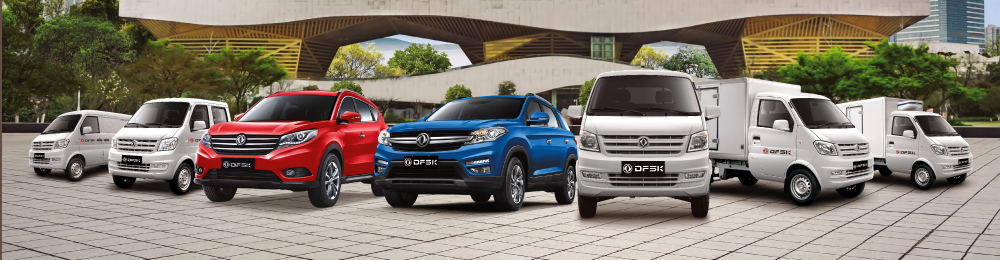 <p>Términos y Condiciones DFSK Store</p>