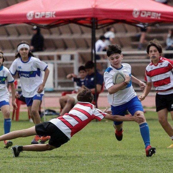 <p>DFSK & Rugby UC realizan Campeonato San Carlos de Apoquindo</p>